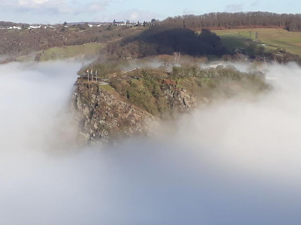 Ferienwohnung 554 - Urbar, Vis-A-Vis Der Loreley Urbar  Exteriör bild