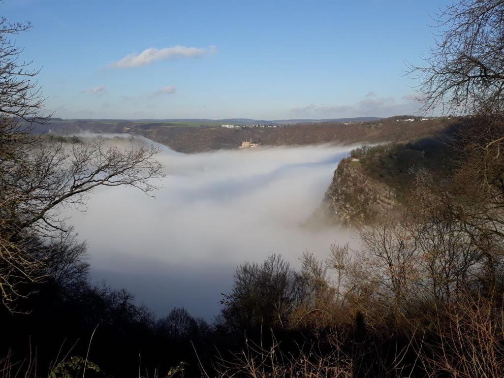 Ferienwohnung 554 - Urbar, Vis-A-Vis Der Loreley Urbar  Exteriör bild